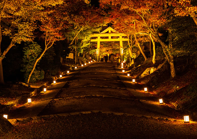 夜の紅葉が綺麗な日吉大社と鳥居